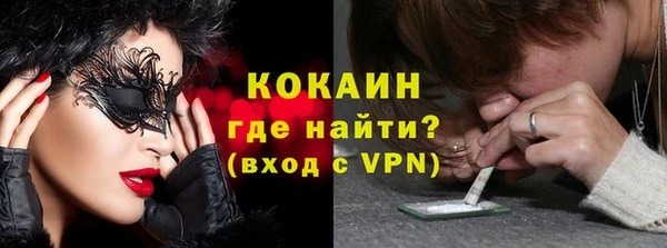 винт Лагань