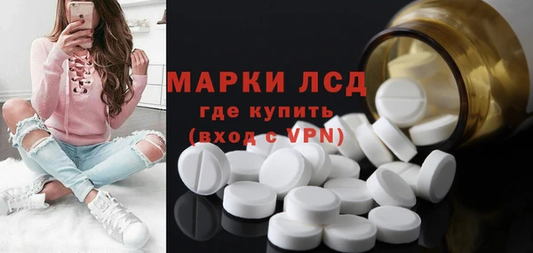 винт Лагань