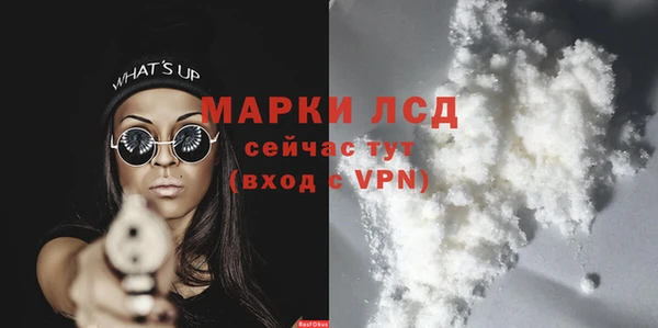 винт Лагань