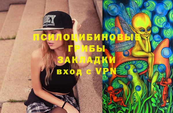 винт Лагань