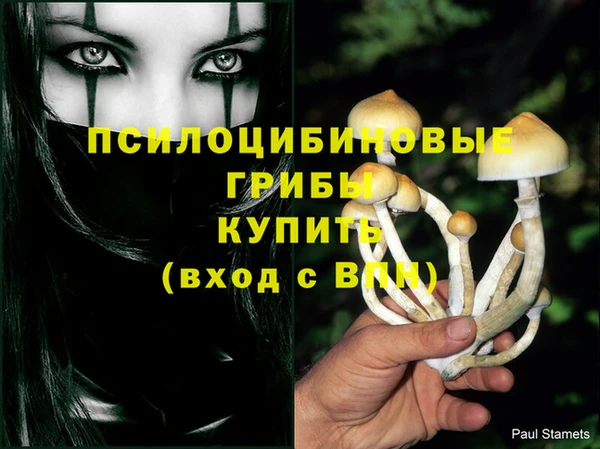 каннабис Лабытнанги